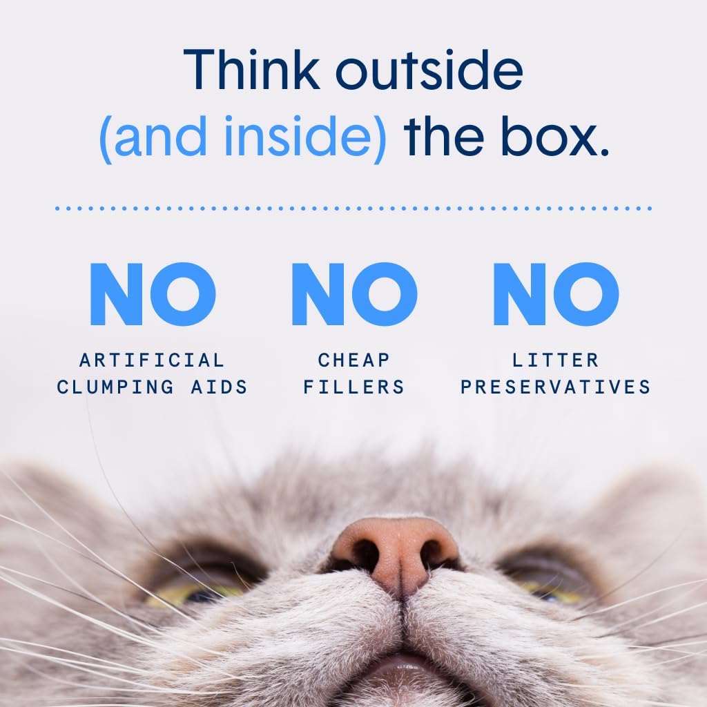 Boxie Premium Unscented Clumping Cat Litter 30+ Day Odor Control 16 lb