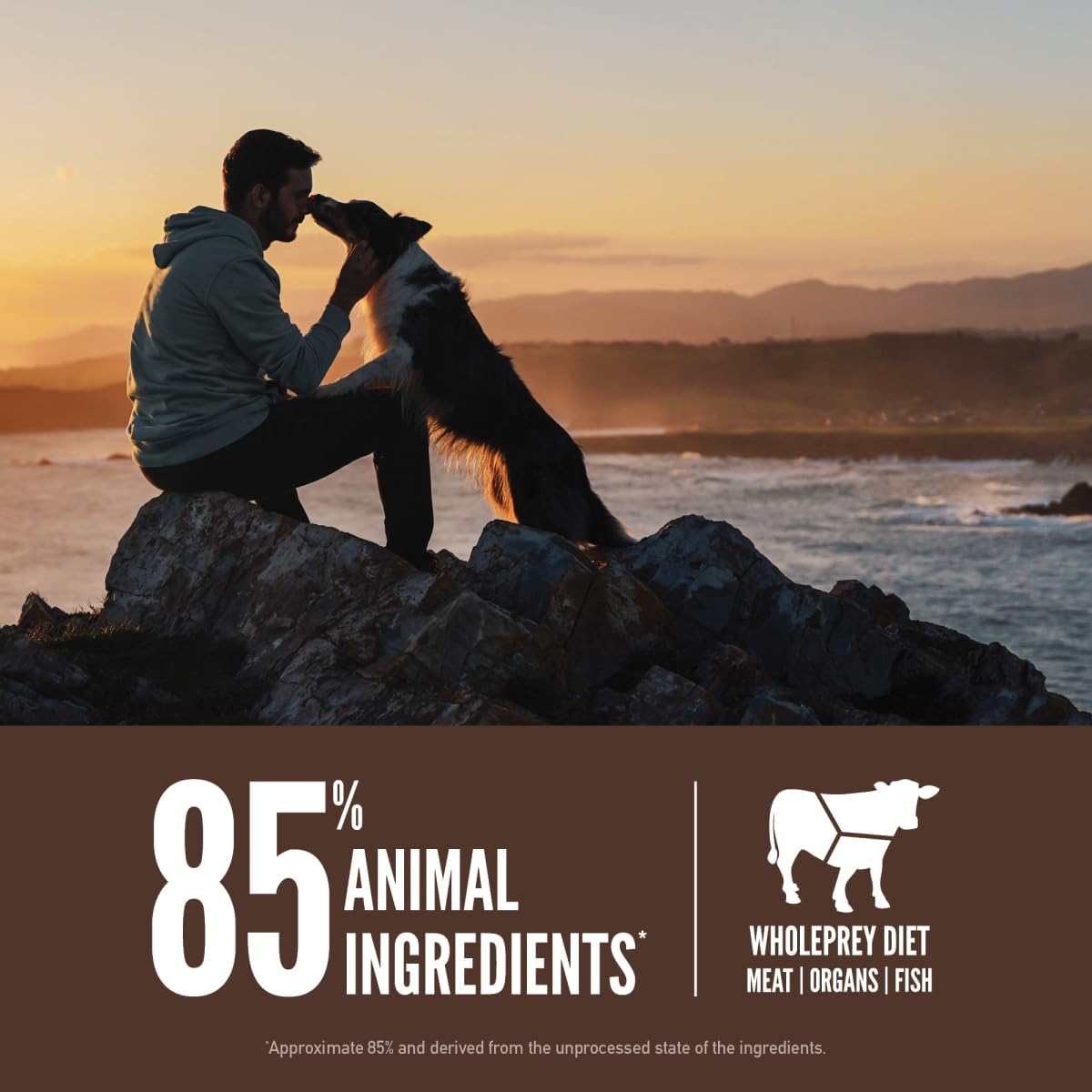ORIJEN Grain Free WHOLEPREY Dry Dog Food Original Recipe 13lb. Bag | WHOLEPREY Ingredients, Grain Free, Made in the USA, Skin & Coat, Global Quality Ingredients