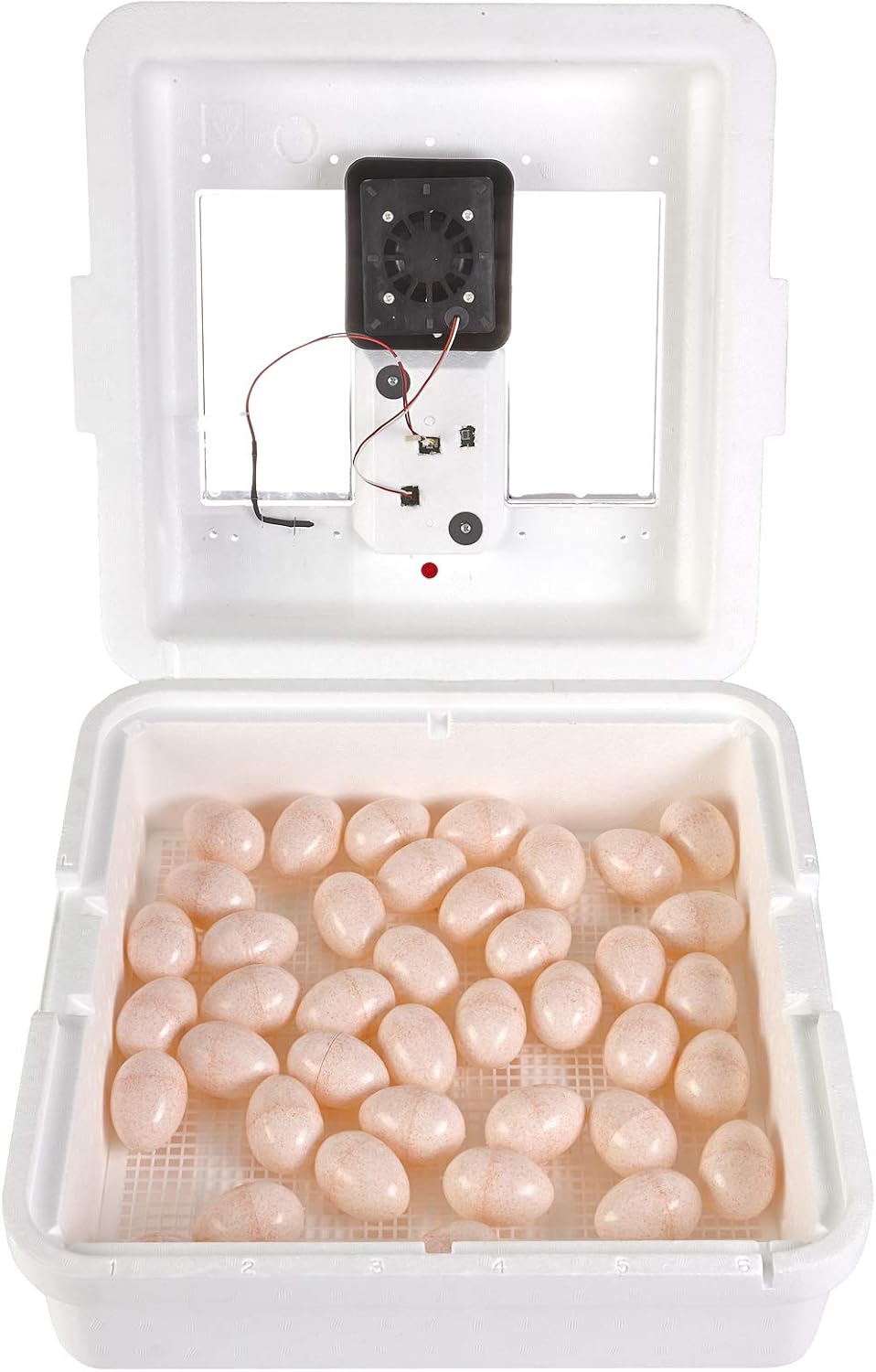 Little Giant White Miller Manufacturing Company 9300 Digital Still Air Incubator