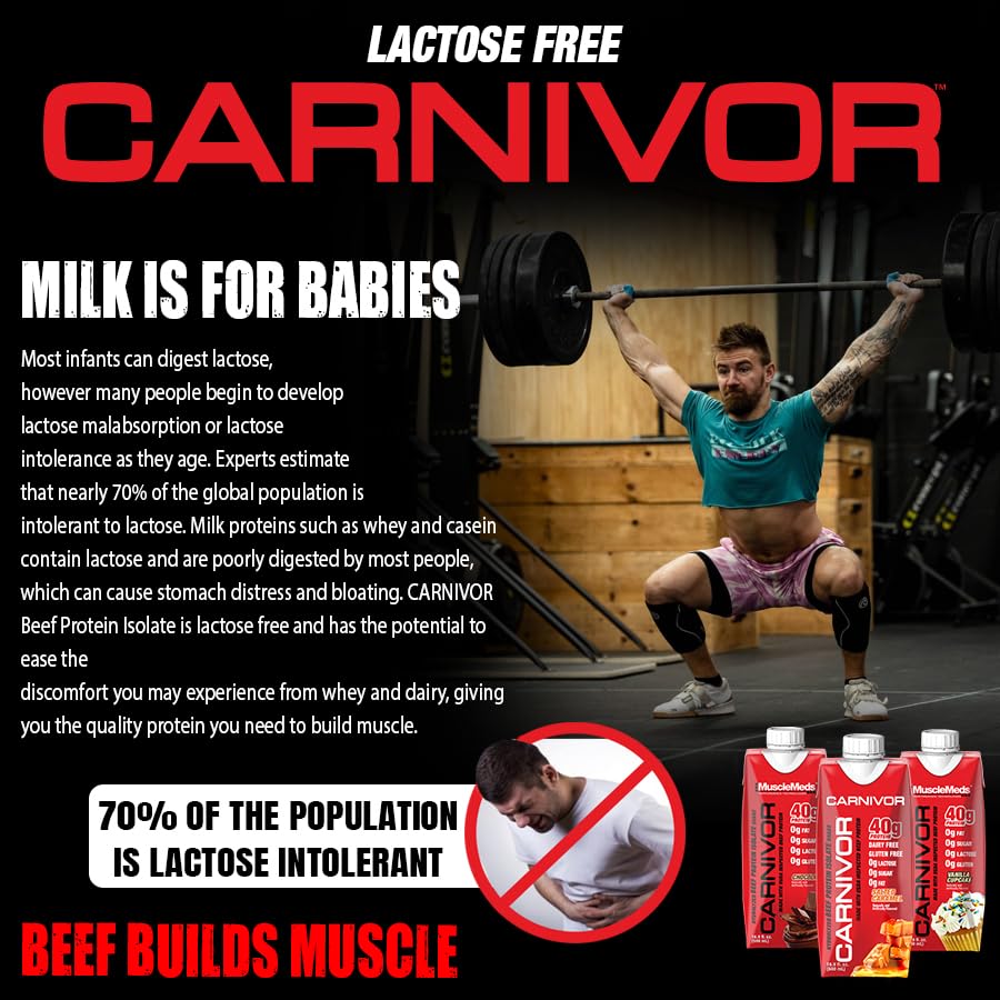 MuscleMeds Carnivor RTD, Ready to Drink Protein, Lactose Free, Sugar Free, 40g Isolate Protein, Muscle Building, Recovery, Chocolate, 16.9 Fl Oz (Pack of 12)