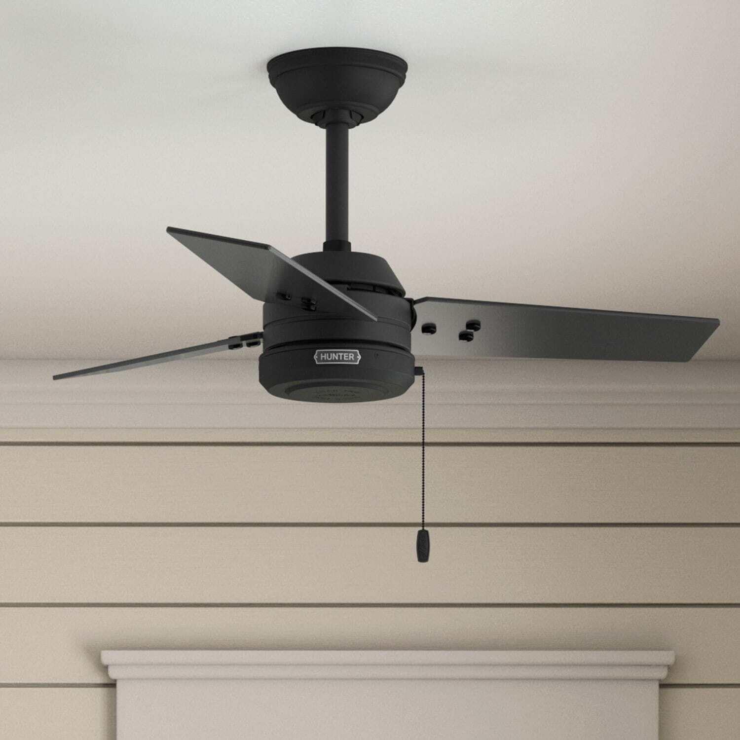 Hunter Cassius, Outdoor or Indoor, Ceiling Fan, 44 inch, Matte Black