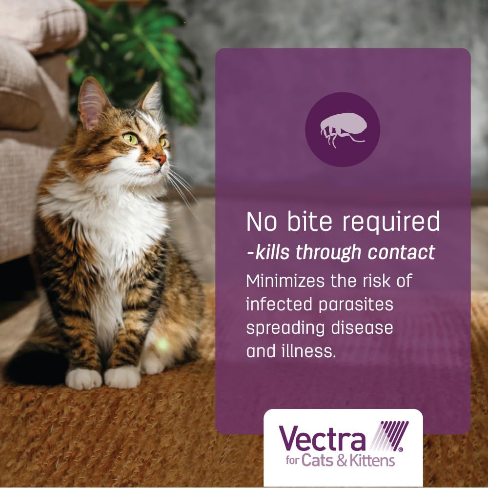 Vectra for Cats Flea Treatment & Prevention for Large Cats (Over 9 lbs.) 6-Month Supply | No Prescription Required