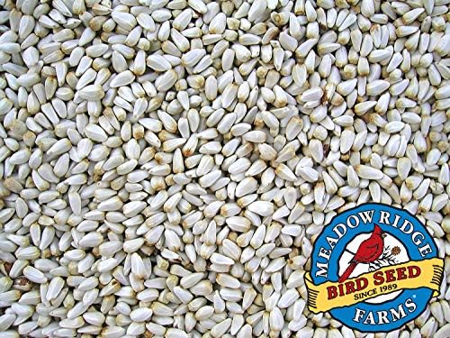Safflower Bird Seed, 20-Pound Bag