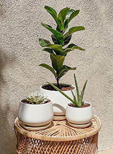 LE TAUCI Plant Pots, 4.1+5.1+6.5 inch, Set of 3, Ceramic Planters with Drainage Hole and Saucer, Indoor Flower Pot with Hole Mesh Pad, Gifts for Mom
