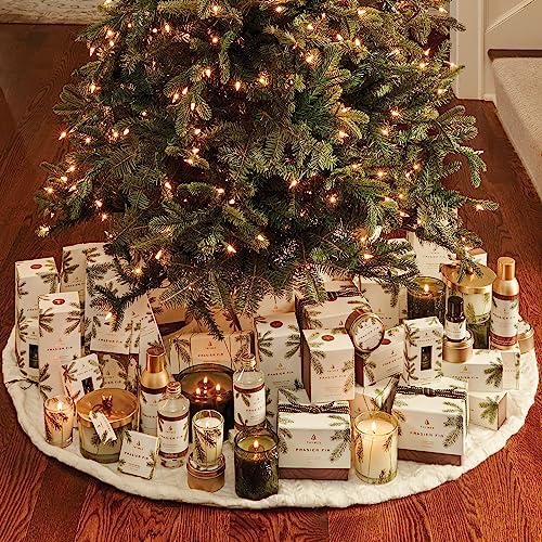 Thymes Frasier Fir Votive Candle Set of 3 - Scented Candles for Home - Luxury Home Fragrance Gifts for Women & Men - Home Decor (Pack of 3-2 Oz)
