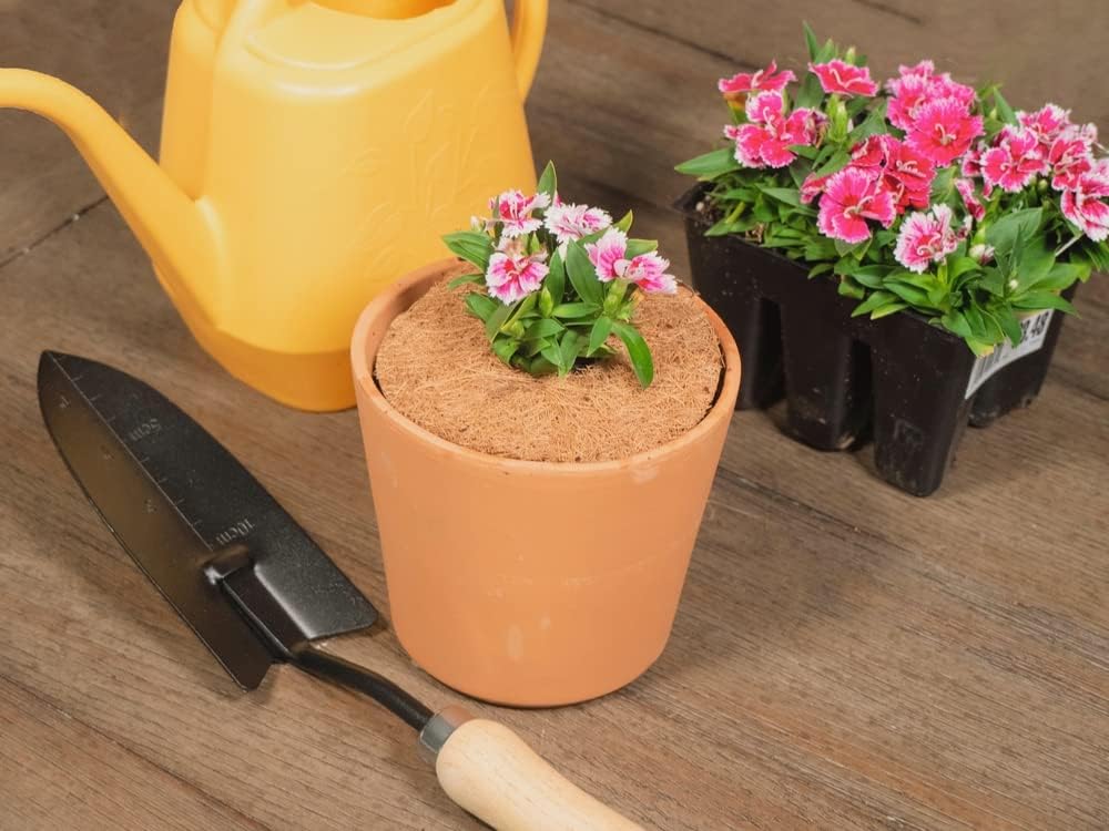 Envelor 20 pcs Coconut Fibers Mulch Ring 4 Inches Tree Protector Mat Coconut Mulch Cover Natural Coconut Fiber Weed Control Rings, Tree Ring Plant Cover for Indoor Outdoor Plants, Pot, Landscaping
