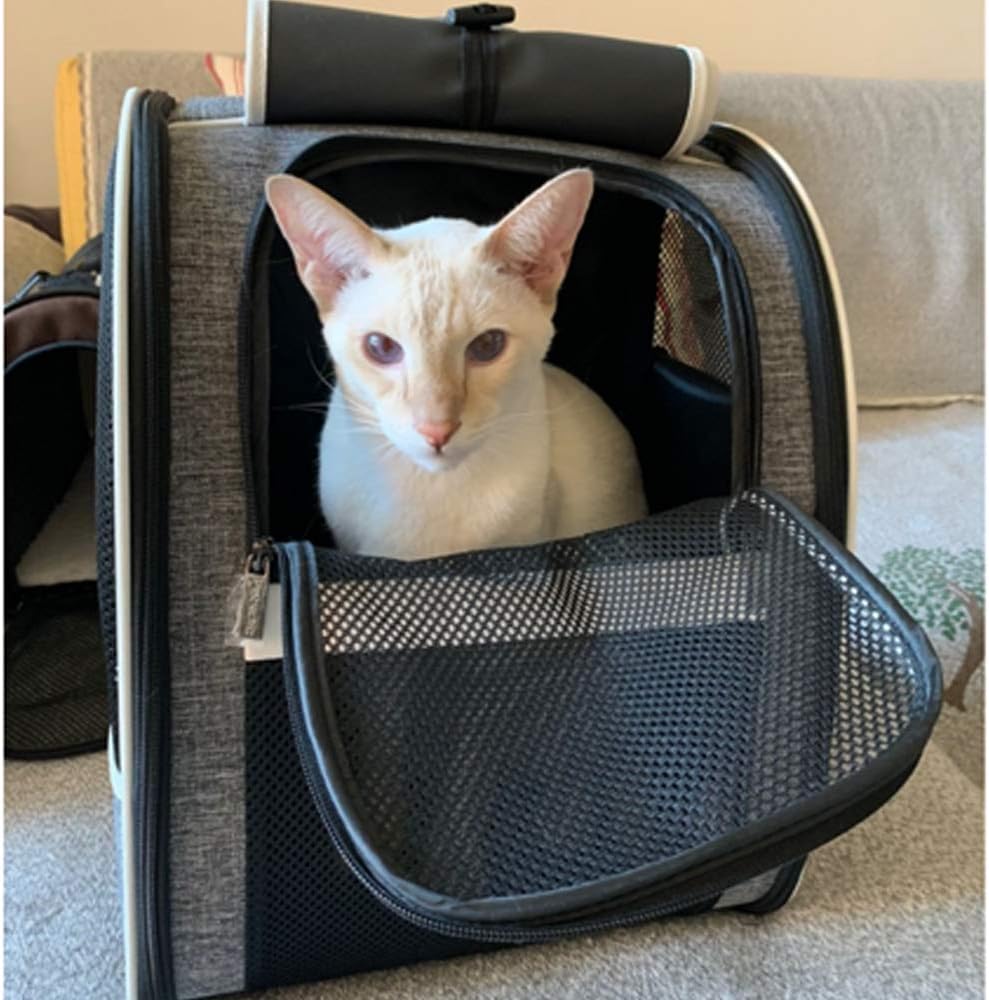 Texsens Innovative Traveler Bubble Backpack Pet Carriers for Cats and Dogs