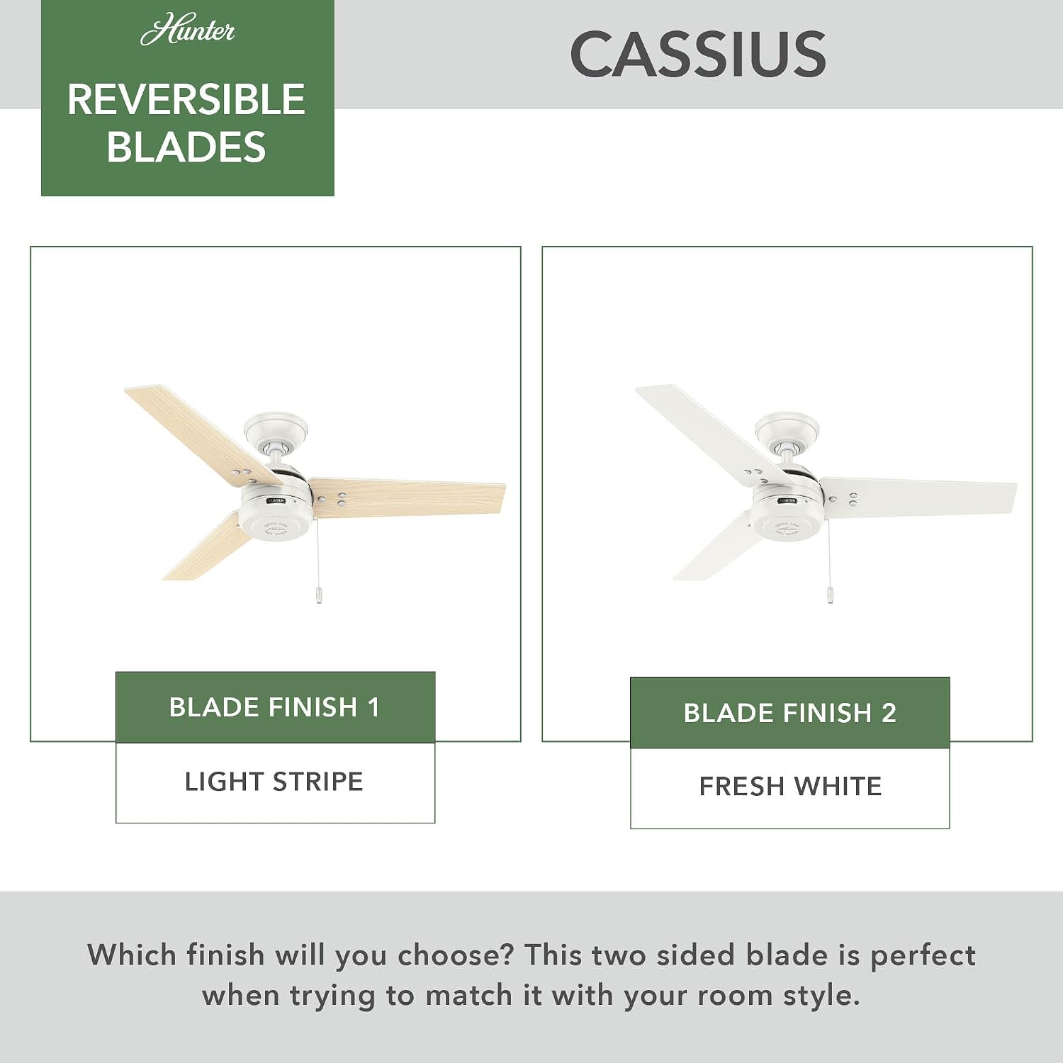 Hunter Cassius, Outdoor or Indoor, Ceiling Fan, 44 inch, Matte Black