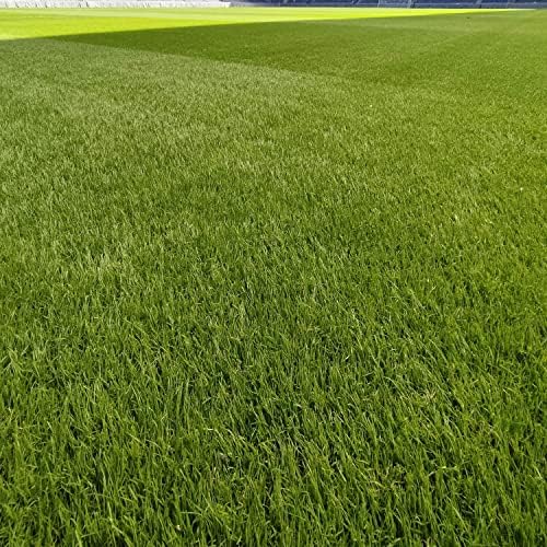 Outsidepride Full House Bermuda Grass Seed Mix - 2 lbs. Premium Warm Season Turf Blend of Traffic & Drought-Tolerant Monaco & Hollywood Bermuda