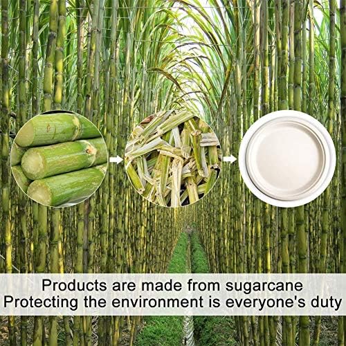 Green Earth - Natural Bagasse (Sugarcane Fiber) Tree Free 10" Paper Plate / Biodegradable / Compostable (50 Counts Disposable Plates） | Sugarcane