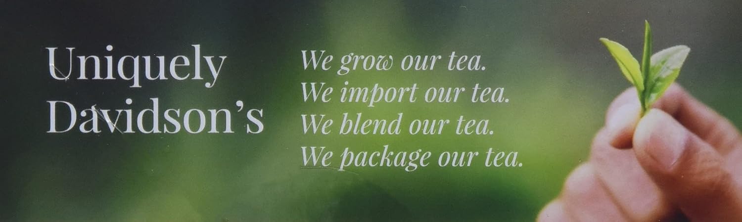 Davidson's Organics, Yerba Mate, 100-count Unwrapped Tea Bags
