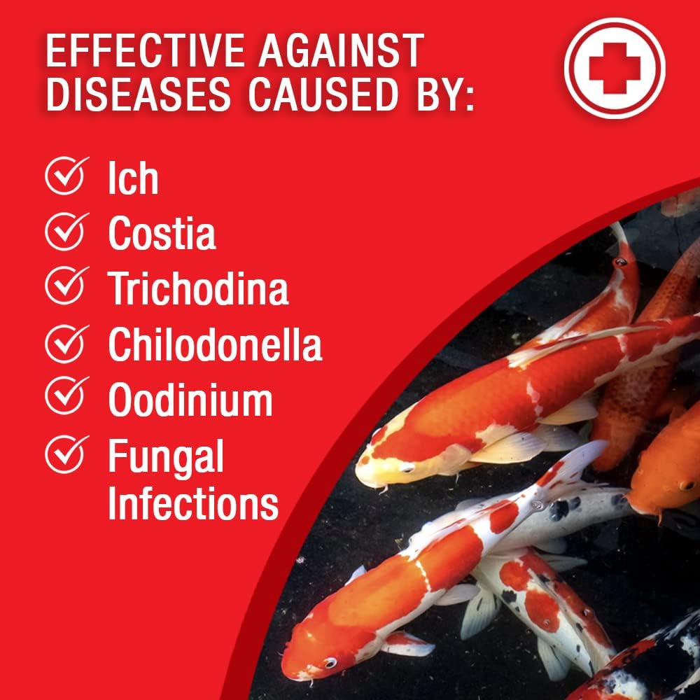 MICROBE-LIFT BSDT16 Broad Spectrum Disease Treatment for Ponds and Outdoor Water Garden, Safe for Live Koi Fish, Goldfish, Plants, and Decor, 16 Fl Oz