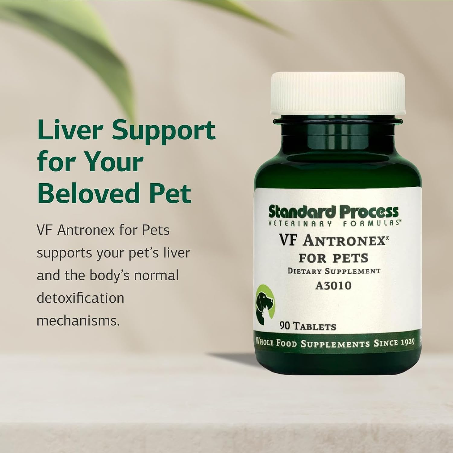Standard Process Inc. VF Antronex for Pets - Feline & Canine Hepatic Support Formula - Healthy Liver Supplement for Cats & Dogs - Antronex