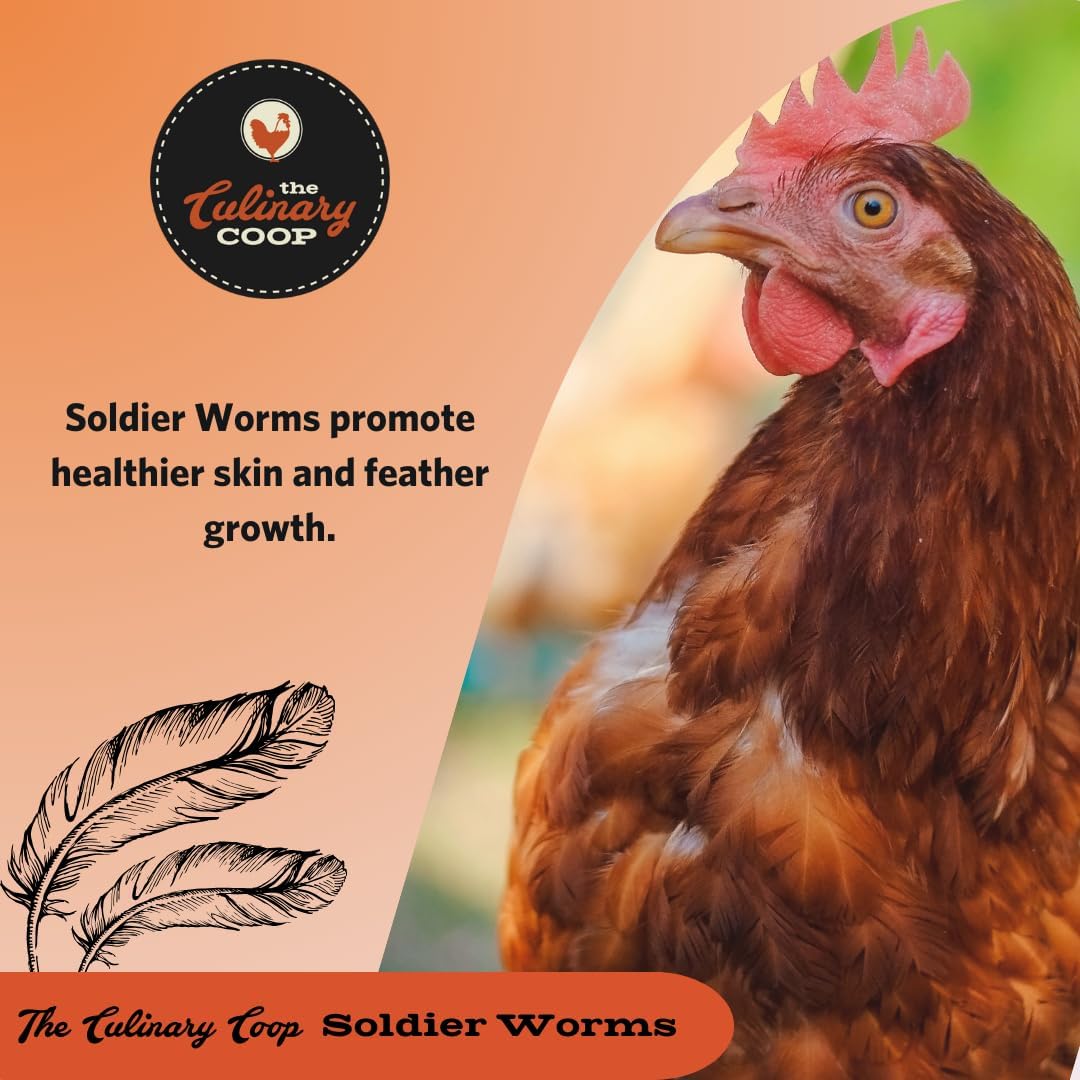 Fluker's Culinary Coop Premium Chicken Treats, Dried Soldier Worms, Packed with Protein and Calcium, 100% Natural Rich Grubs for Chicken, Backyard Birds, and Reptiles, 16 oz
