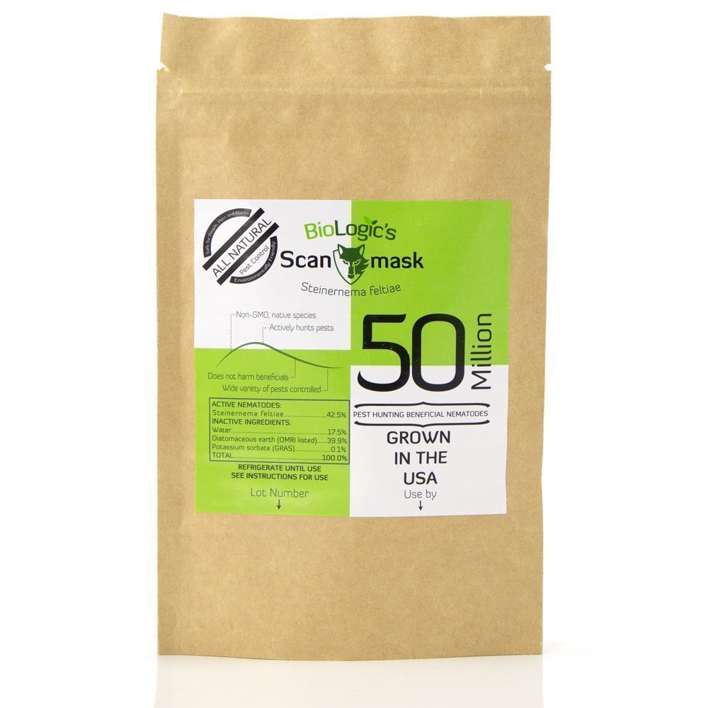BioLogic's Scanmask Beneficial Nematodes, Steinernema feltiae Sf Nematodes for Natural Insect Pest Control (50 Million)