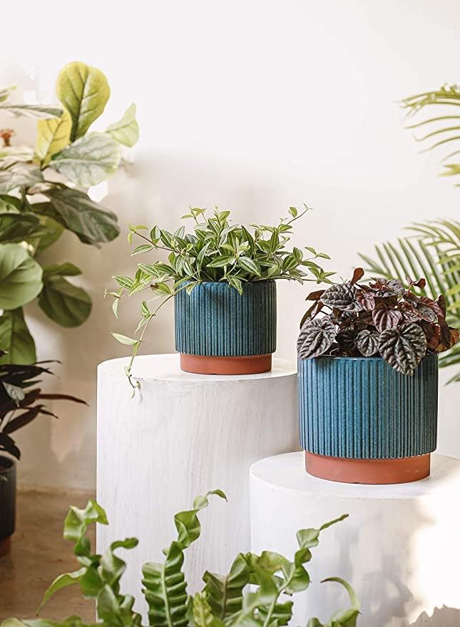 LE TAUCI Ceramic Plant Pots with Drainage Holes, Set of 3, 8+6.7+5.5 Inch Stripe Garden Planter Pots for Outdoor Indoor Plants Flower