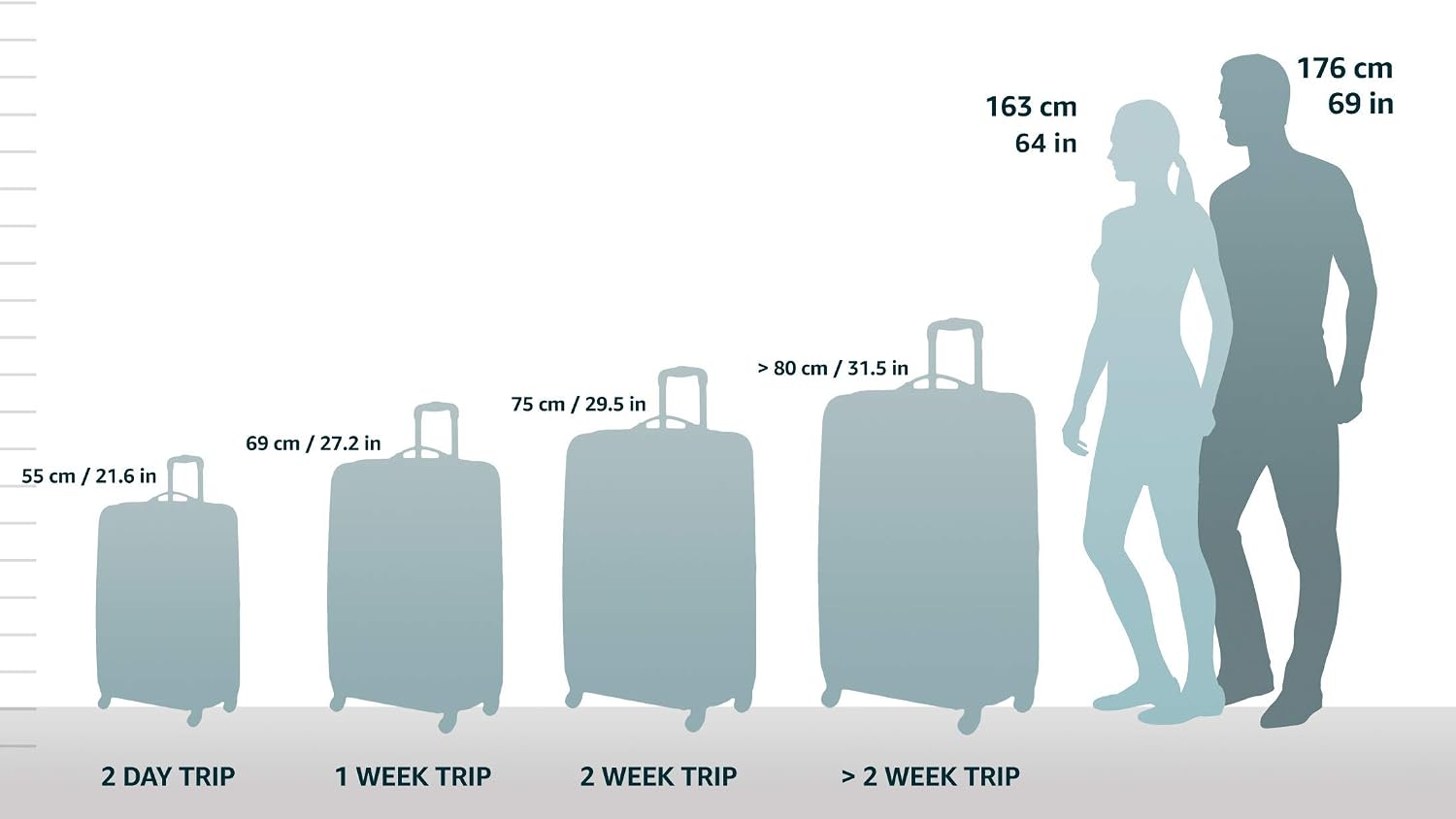 DELSEY PARIS Titanium Hardside Expandable Luggage with Spinner Wheels Carry-On Luggage, Graphite, Carry-On 19 Inch