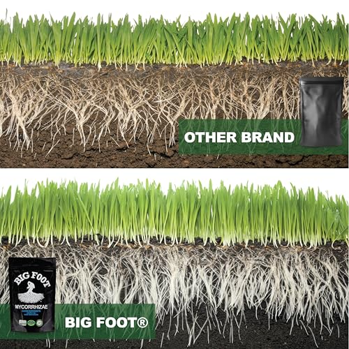 Big Foot Mycorrhizae for Plants, Potted Plants and Gardens - Concentrate Fully Dissolves in Water, Year Round Organic Fertilizer for Root Growth and Healthy Soil - 32 Ounces of Mycorrhizal Inoculant