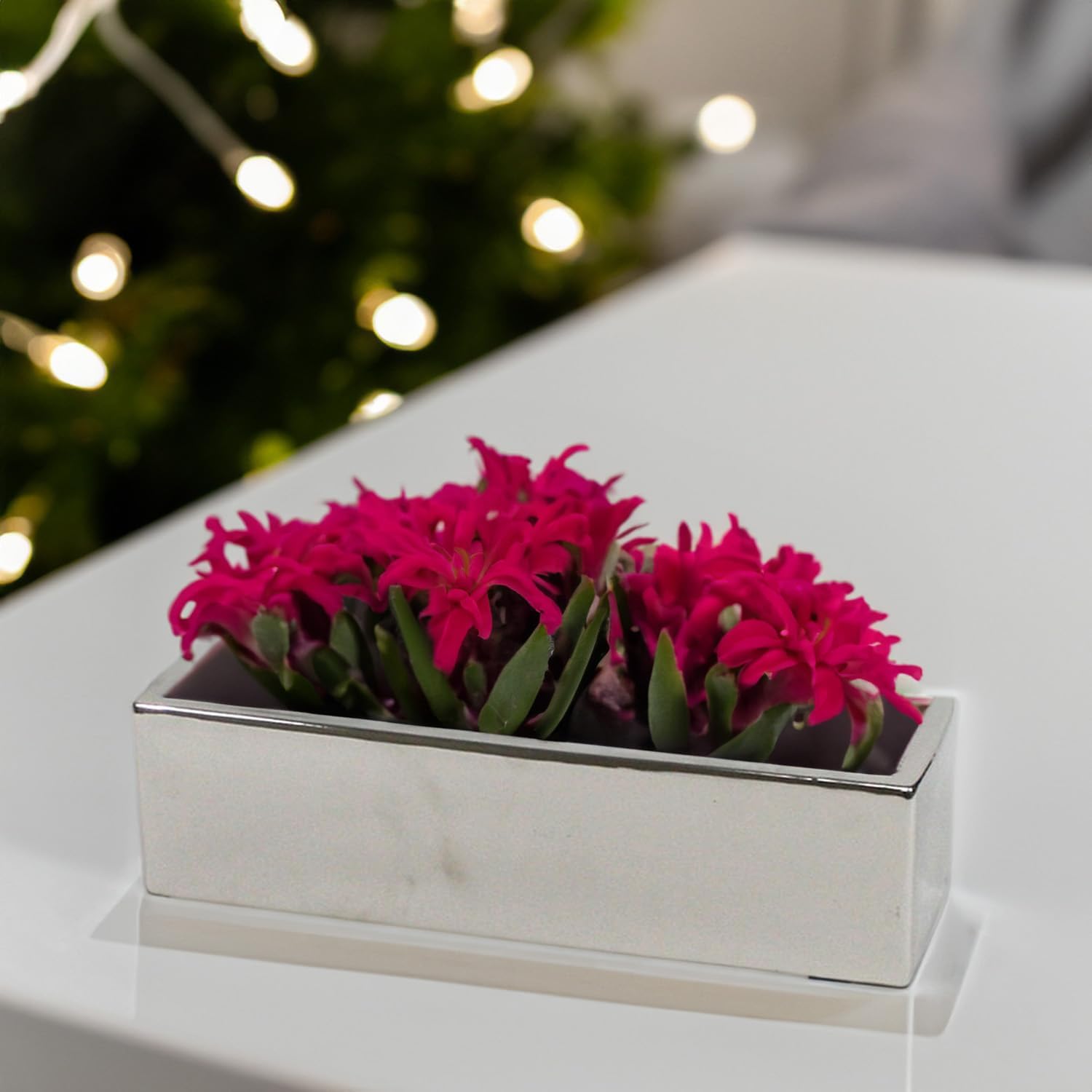 WGVI Long Rectangle Ceramic Planter Vase in White 14" x 4" x 4"H, Rectangular Box Block Terrarium Pot, Flower Arrangement, Tabletop Centerpiece