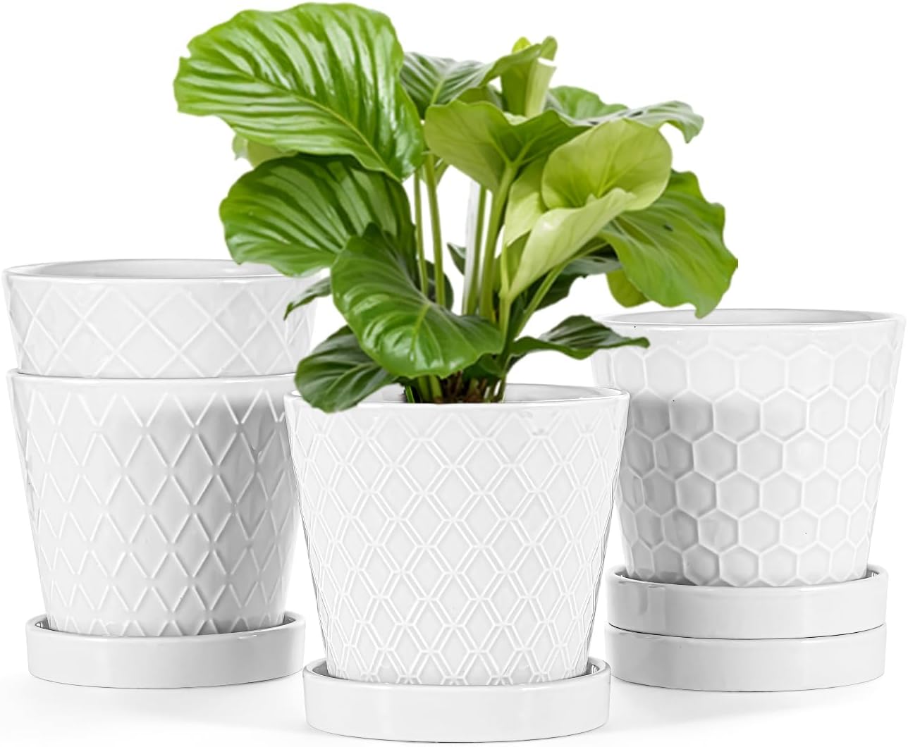 EFISPSS Ceramic Plant Pots, 5 Inch Planters with Drainage Holes and Ceramic Tray, Relief Design Flower Planter