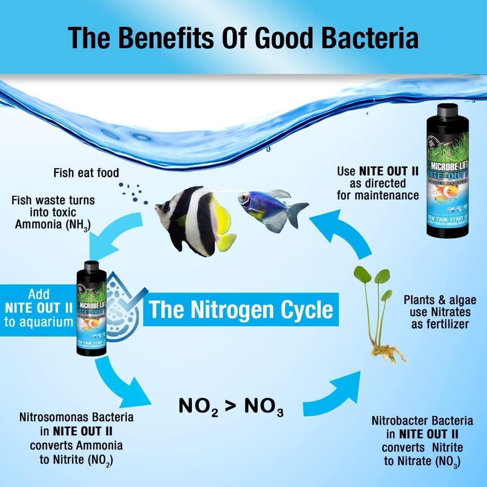 MICROBE-LIFT Nite-Out II Aquarium Bacteria for Start-up, Instantly Cycle Aquariums, Add Fish on Day 1, Rapid Ammonia and Nitrite Reducer for Freshwater & Saltwater Fish Tank, 16 Ounces (NITEH16)