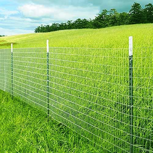16GA Galvanized 48in x 25ft-3in x 2in Welded Wire Mesh Garden Economy Fence