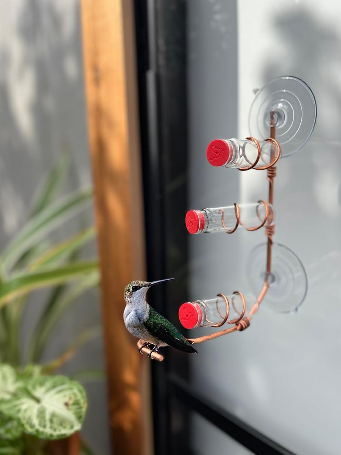 Window Hummingbird Feeder | Handcrafted Copper and Aluminum | Multiple Stations | Modern Hummingbird Feeder | Glass Bottles | Suction Cups (Copper, Four Station)
