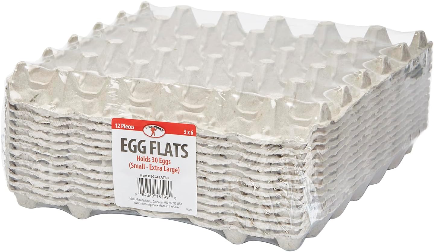 Little Giant® Egg Flat Carton - Reinforced Flat Egg Carton Trays Holds 30 Eggs for Storage and Transport - Pack of 12 - Made in USA