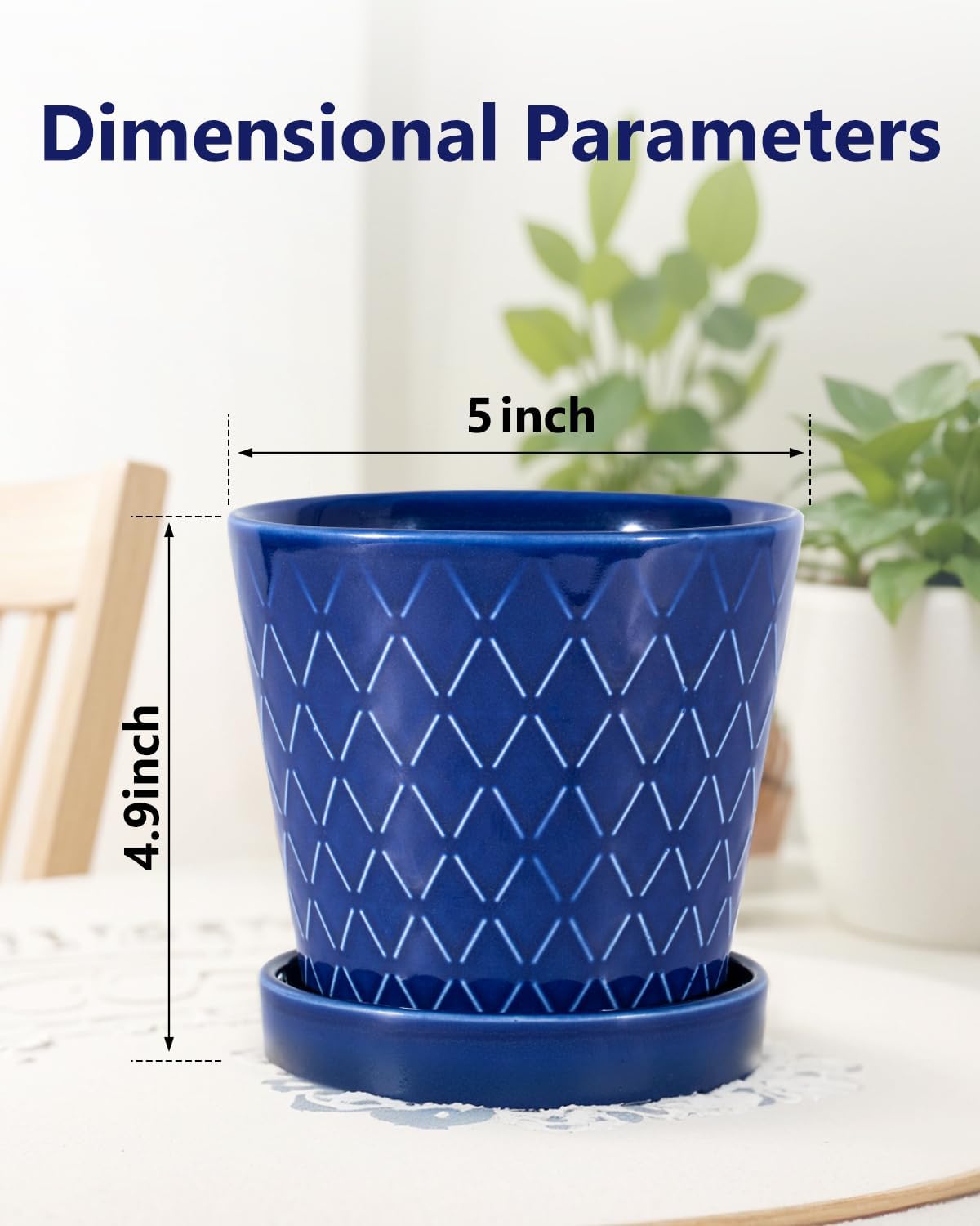 EFISPSS Ceramic Plant Pots, 5 Inch Planters with Drainage Holes and Ceramic Tray, Relief Design Flower Planter