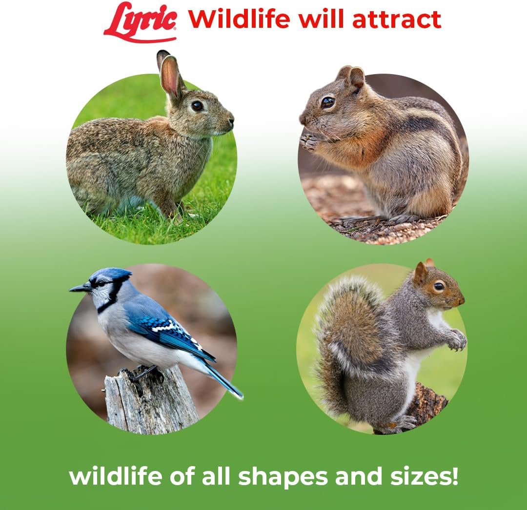 Lyric Wildlife Critter Food for Deer, Squirrels, Turkeys & Rabbits, Wild Bird Seed for Outside Feeders, 10 lb Bag | Food for Deer, Squirrels