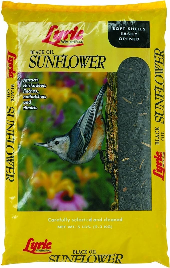 Black Oil Sunflower Seed 5 Lbs.