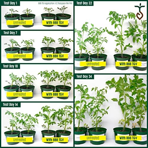 2.25lb Tomato & Vegetable Plant Food Fertilizer Triple Play 8-8-8 (Covers Up to 250 Square Feet)