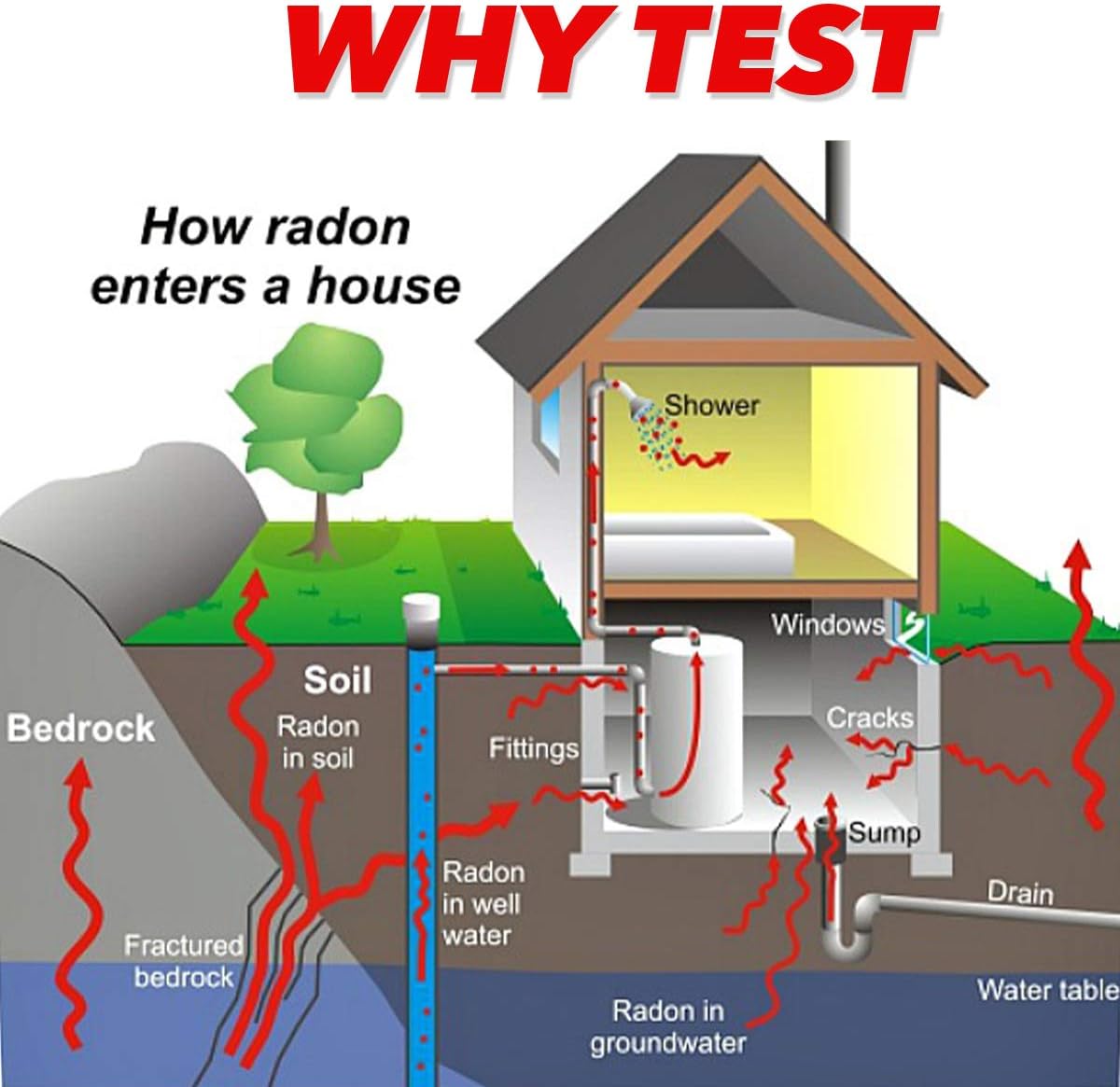 PRO-LAB Long-Term Radon Test Kit for Home - EPA Approved with Advanced Alpha Track Detection Technology - Comprehensive Radon Monitoring - 20 Lab