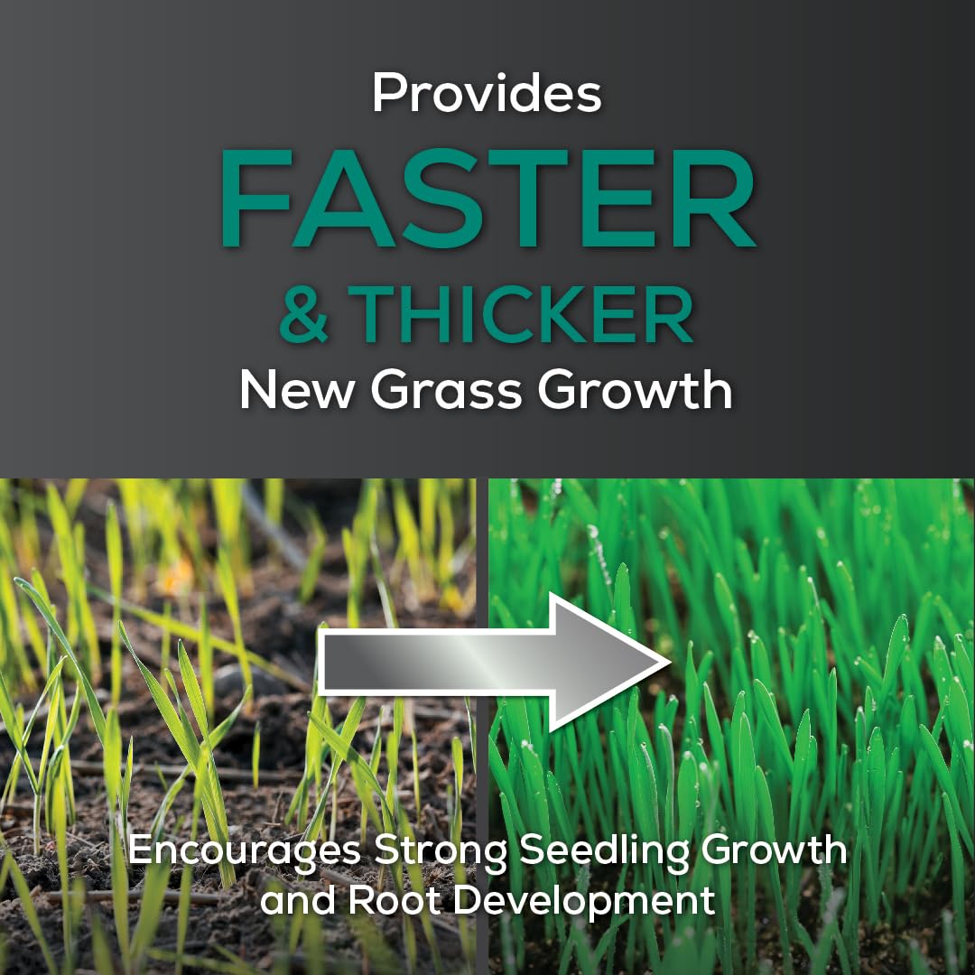 Starter Lawn Food - New Grass Fertilizer, 5,000 sq ft
