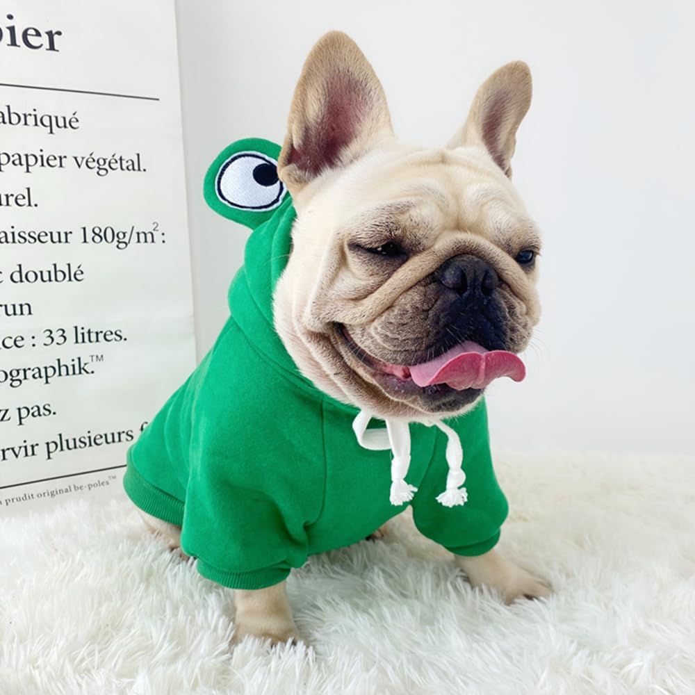 ANIAC Dog Hoodies Sweatshirt with Bunny Ears Spring Puppy Clothes for Small Dog Girl Boy Soft Doggy Sweater Cat Apparel Pet Clothing for Kitten