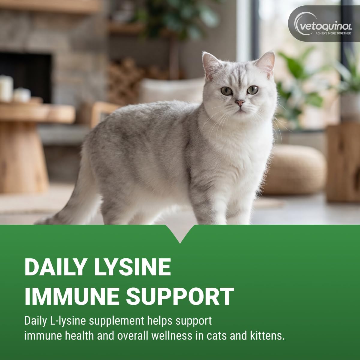 Vetoquinol Enisyl-F - Lysine Supplement for Cats - Daily Immune Support - Everyday Feline Health Support - Tasty Oral Paste - Tuna Flavor, 3.5oz Pump