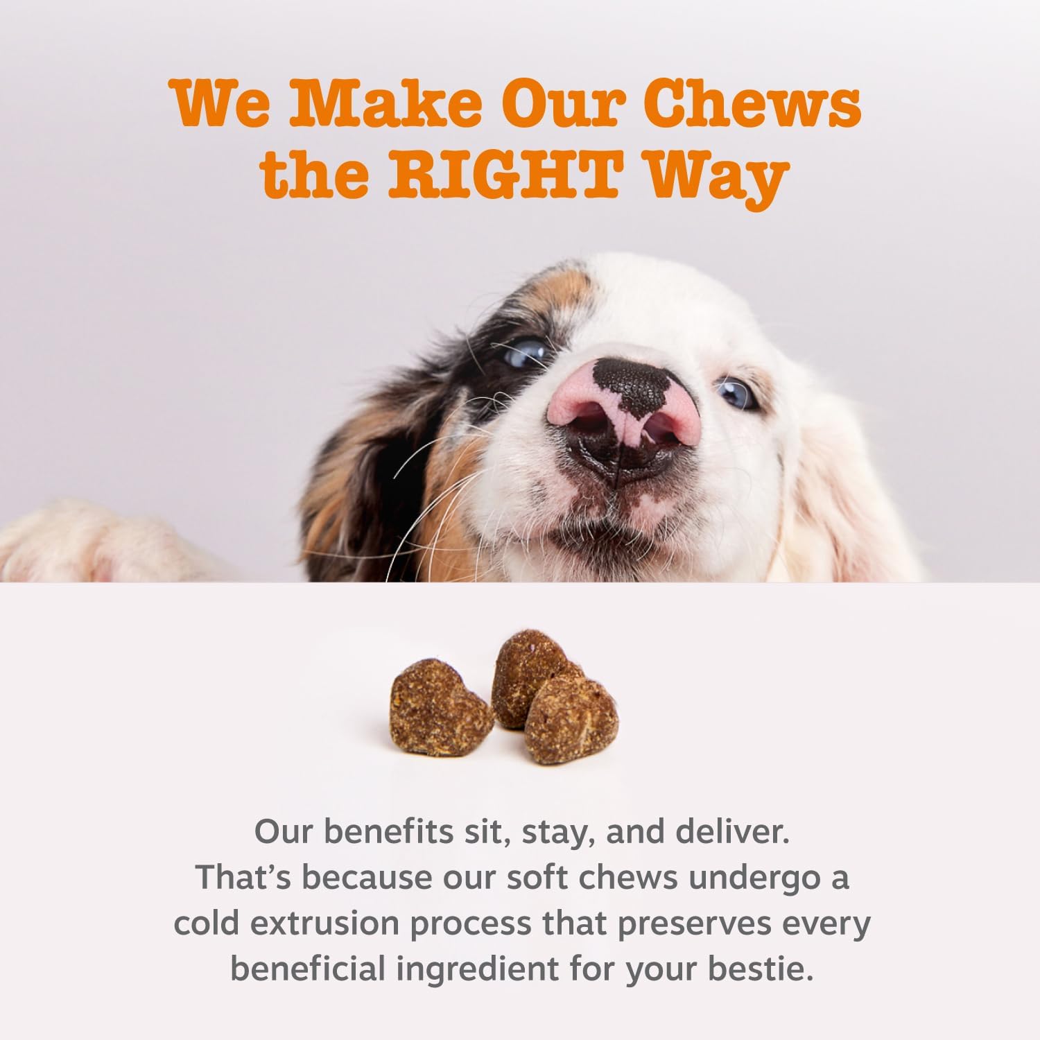 Zesty Paws Allergy Immune Bites - Dog Allergy Chews, Dog Probiotics for Itchy Skin and Ears, Lamb, 90ct