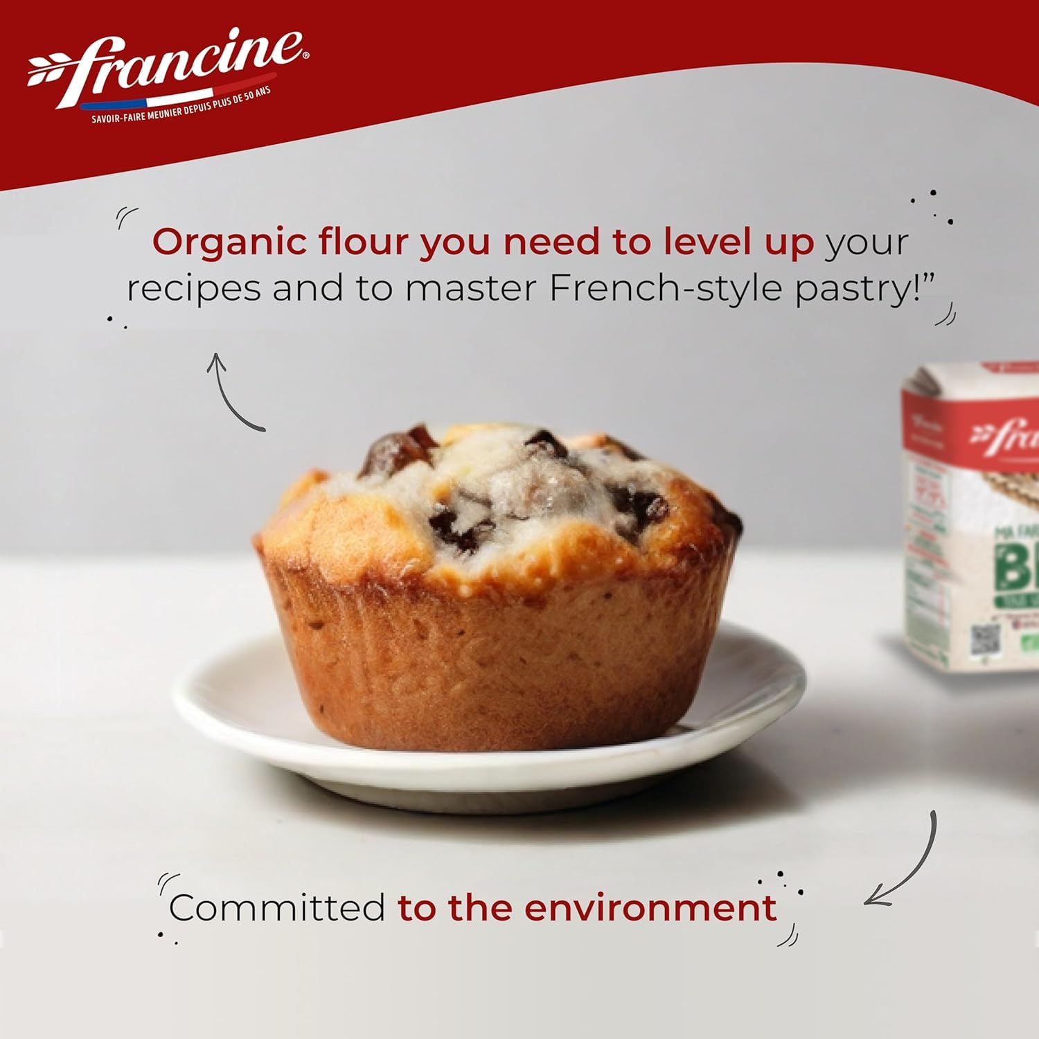 Francine Organic T55 All-Purpose French Flour, EU Certified, 2.2lb (2-Pack)