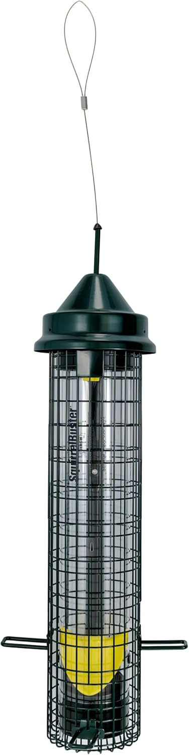 Squirrel Buster® Nyjer® – Squirrel-Proof Nyjer®/Thistle 2.4-pound Seed Capacity Feeder w/8 Feeding Ports & 4 Perches, Easy Fill & Clean