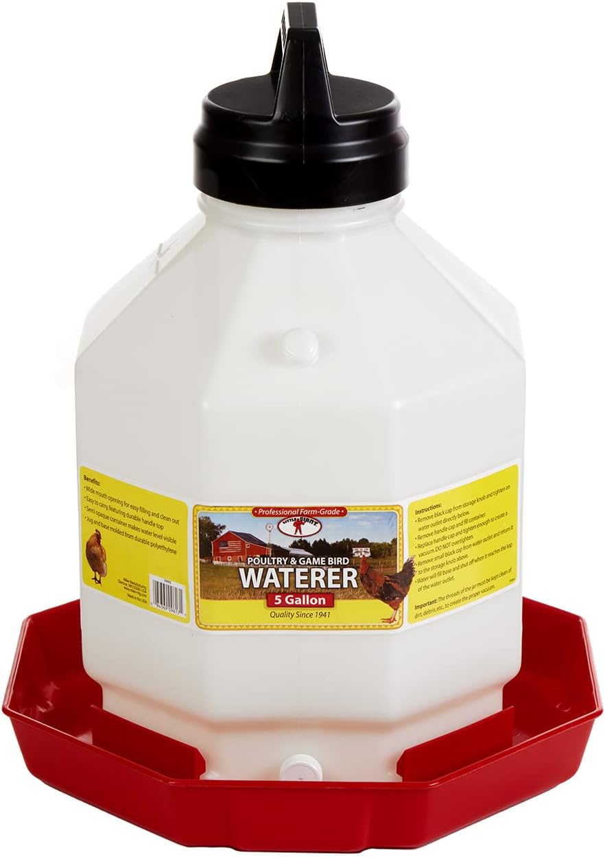 Little Giant® Plastic Poultry Waterer | Heavy Duty Plastic Gravity Fed Water Container | Easy to Fill | Snap on Jar | 7 Gallons