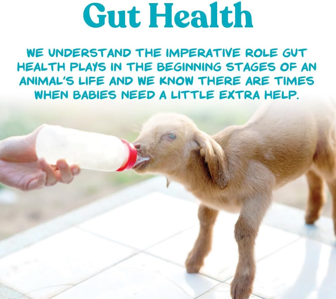 Manna Pro Goat Kid Milk Replacer with Opti-Gut, 4 lb Bag | High-Protein Milk Replacer, Opti-Gut Digestive Support, Easy-to-Mix Formula, Supports Healthy Kid Goat Growth