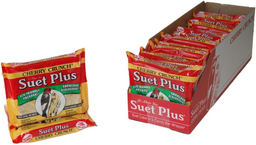 Suet Plus Zesty Orange Suet 12 Pack