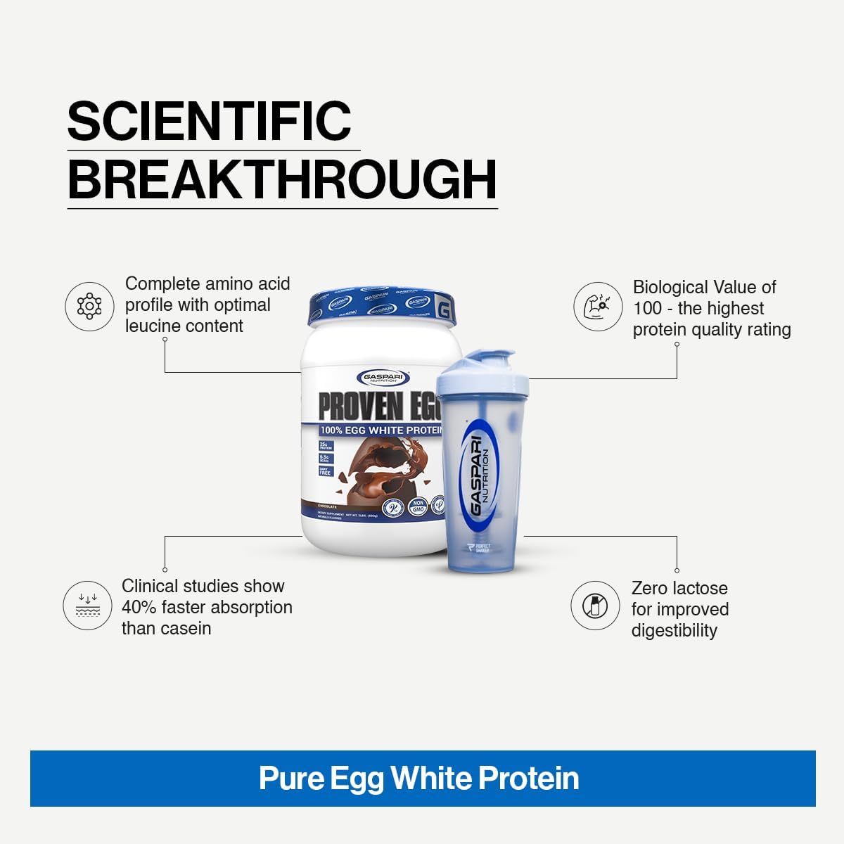 Gaspari Nutrition Proven Egg White Protein Powder, 25g Chocolate Protein Powder, 100% Egg White Protein, Keto Friendly, Dairy and Lactose Free, Soy Free (2 lbs, Chocolate)