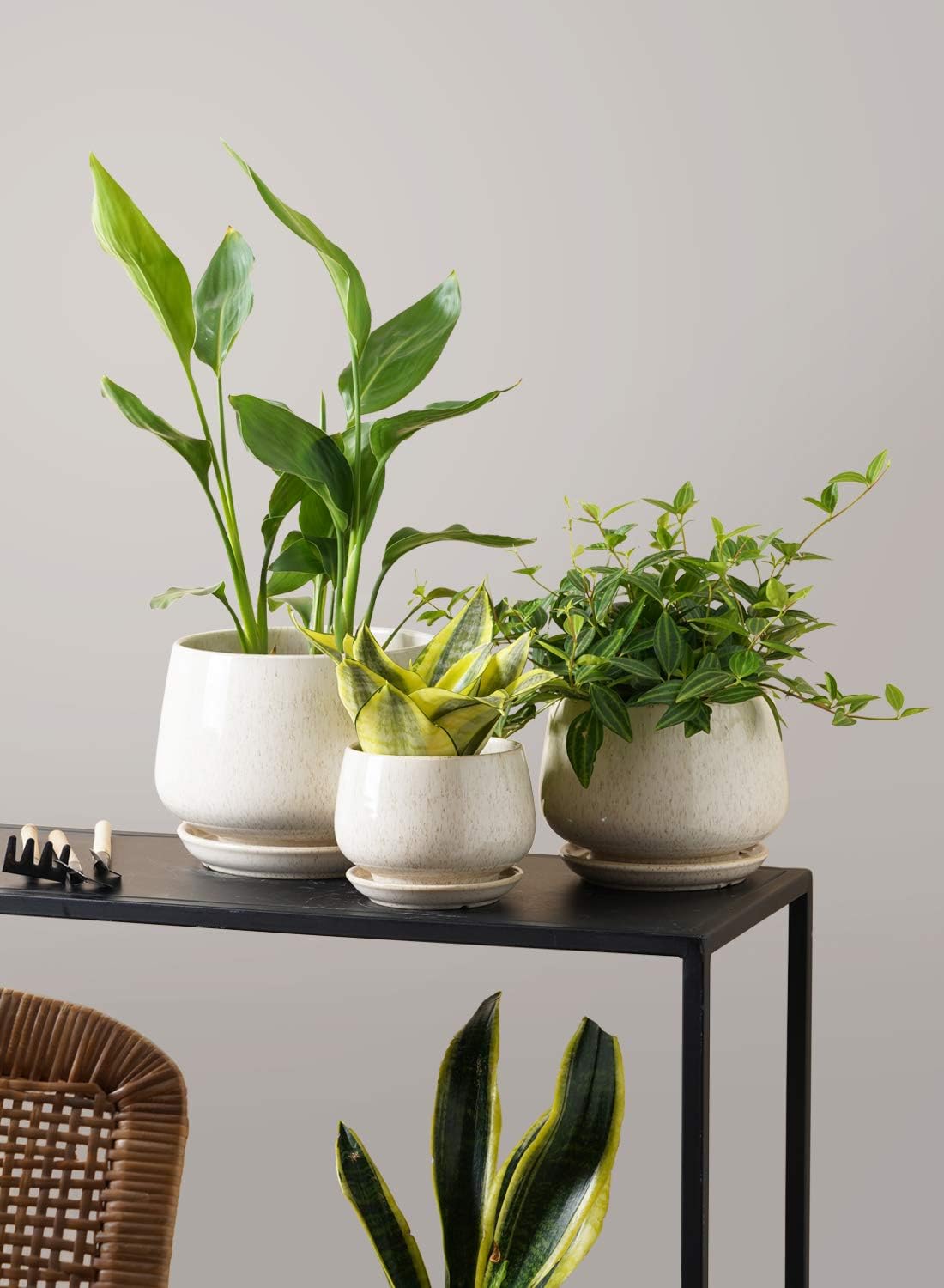 LE TAUCI Plant Pots, 4.1+5.1+6.5 inch, Set of 3, Ceramic Planters with Drainage Hole and Saucer, Indoor Flower Pot with Hole Mesh Pad, Gifts for Mom