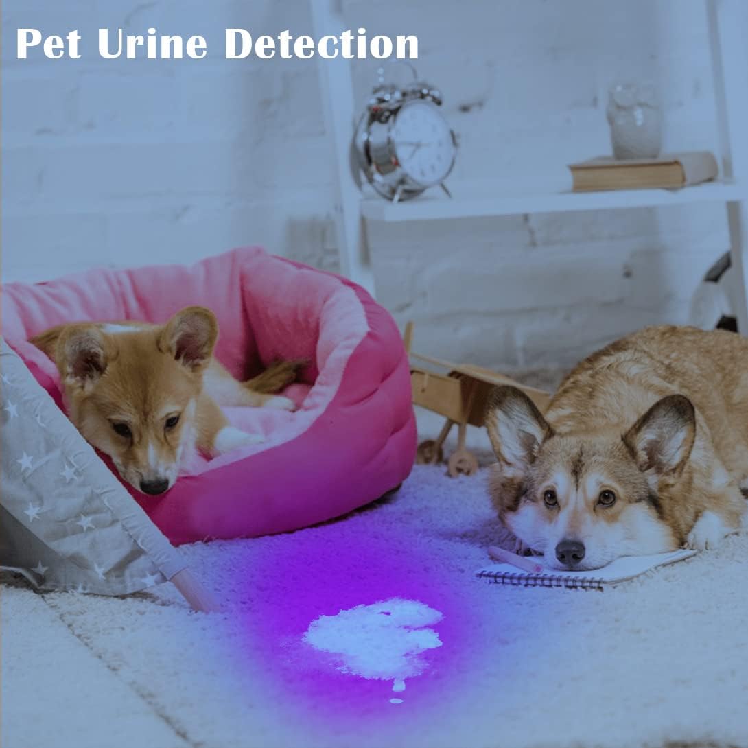Waklyte Black Light UV Light, 21 LED 395nm UV Flashlight, Powerful Mini Blacklight Flashlight