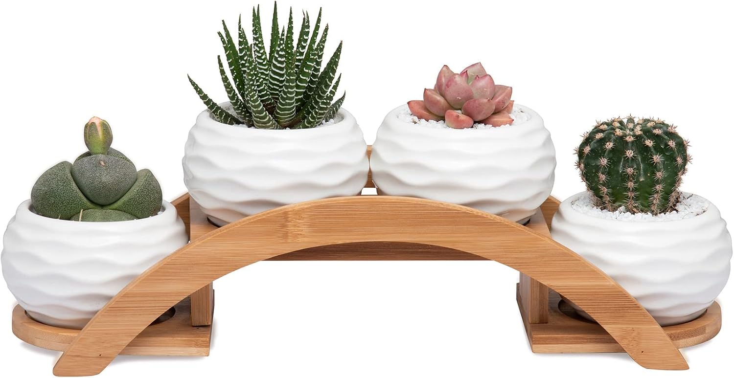 E-liu Eliu Cute Small Ceramic Succulent Pots and Stand Set, Pack of 4 | White Succulent Planter Pot with Drainage Fits Well In Windowsills