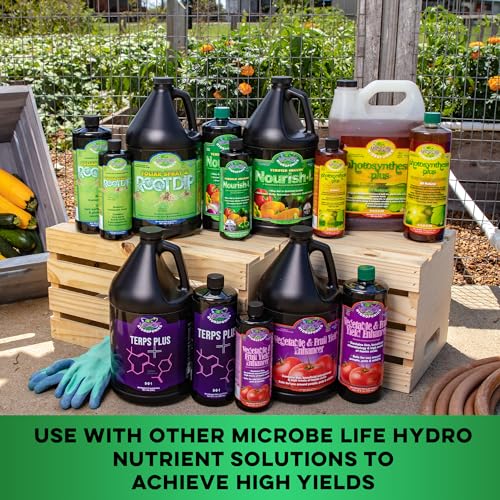 MICROBE LIFE HYDROPONICS Nourish-L Liquid Conditioner, Stimulator to Enhance Plant Nutrient Absorption for Fruits & Vegetables, Use with Any Feeding Systems Including Hydroponics or Soil, 16 Ounces