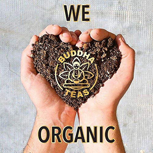 Buddha Teas Organic Hawthorn Berry Tea - OU Kosher, USDA Organic, CCOF, 18 Bleach-Free Tea Bags