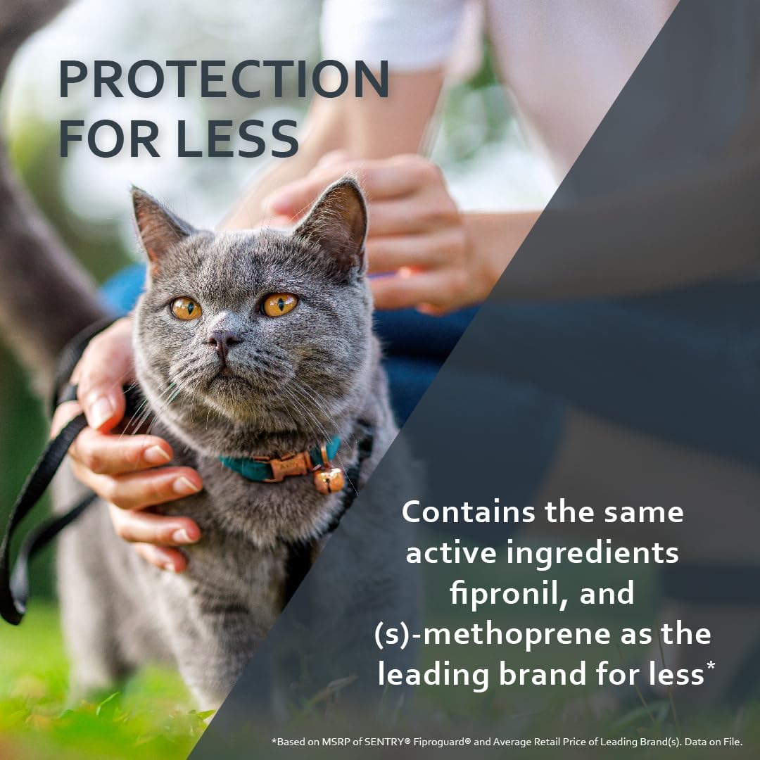 Sentry Fiproguard Flea & Tick Cats 1.5 lbs+, Fipronil, 6-Month | Ideal for Cats & Kittens 1.5 lbs+, Kills Fleas, Ticks & Chewing Lice for 30 Days