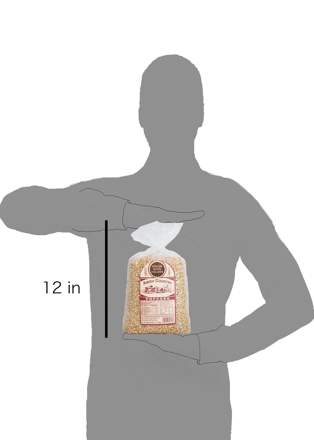 Amish Country Popcorn | 6 lb Bag | Medium White Popcorn Kernels | Old Fashioned, Non-GMO and Gluten Free (Medium White - 6 lb Bag)